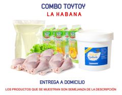 COMBO TOYTOY